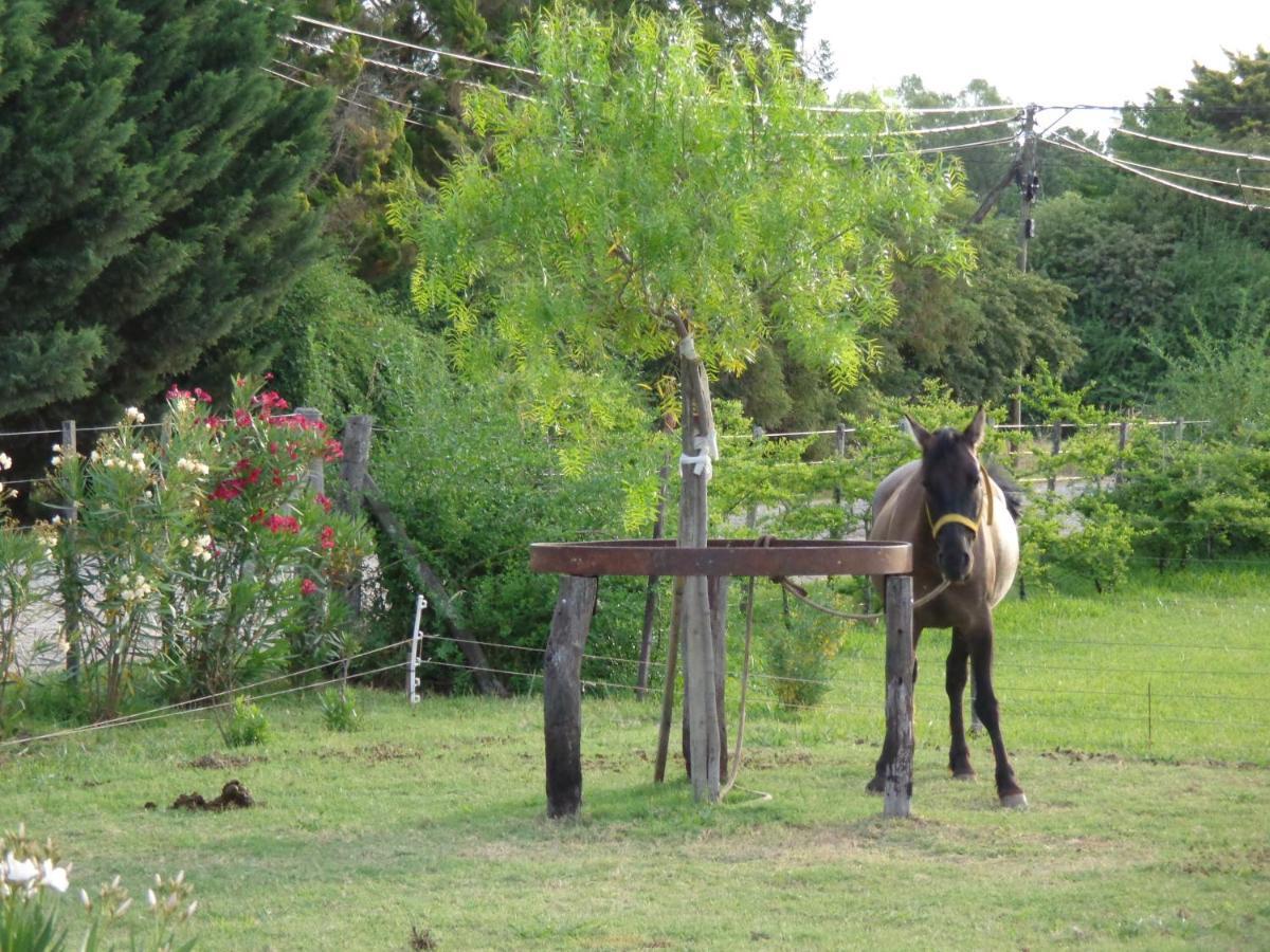 El Sendero - Gueiraldes B&B San Antonio de Areco Bagian luar foto