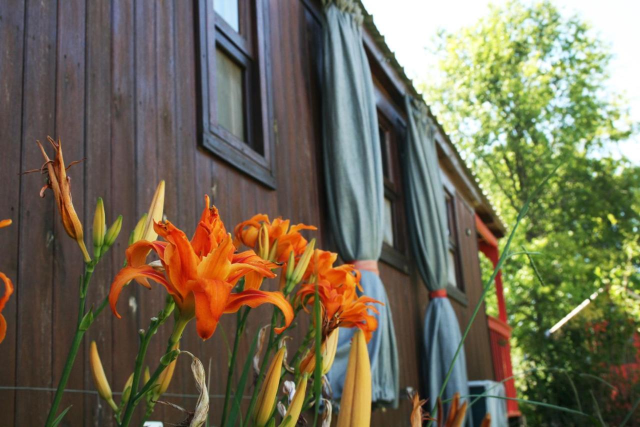 El Sendero - Gueiraldes B&B San Antonio de Areco Bagian luar foto